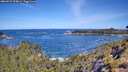 ./images/calvert/foggy-cove/20260531/foggy-cove20260531_104001M.jpg