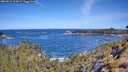 ./images/calvert/foggy-cove/20260531/foggy-cove20260531_104501M.jpg
