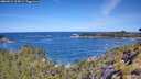 ./images/calvert/foggy-cove/20260531/foggy-cove20260531_105001M.jpg