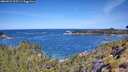./images/calvert/foggy-cove/20260531/foggy-cove20260531_105502M.jpg