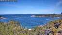 ./images/calvert/foggy-cove/20260531/foggy-cove20260531_110001M.jpg