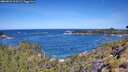 ./images/calvert/foggy-cove/20260531/foggy-cove20260531_110501M.jpg