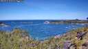 ./images/calvert/foggy-cove/20260531/foggy-cove20260531_111501M.jpg