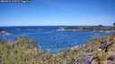 ./images/calvert/foggy-cove/20260531/foggy-cove20260531_112001M.jpg
