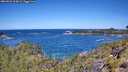 ./images/calvert/foggy-cove/20260531/foggy-cove20260531_113001M.jpg