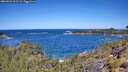 ./images/calvert/foggy-cove/20260531/foggy-cove20260531_113501M.jpg