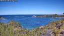 ./images/calvert/foggy-cove/20260531/foggy-cove20260531_114001M.jpg