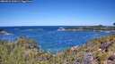 ./images/calvert/foggy-cove/20260531/foggy-cove20260531_115001M.jpg