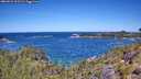 ./images/calvert/foggy-cove/20260531/foggy-cove20260531_115501M.jpg