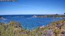 ./images/calvert/foggy-cove/20260531/foggy-cove20260531_120002M.jpg