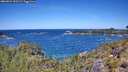 ./images/calvert/foggy-cove/20260531/foggy-cove20260531_120501M.jpg