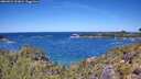 ./images/calvert/foggy-cove/20260531/foggy-cove20260531_121002M.jpg