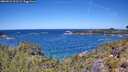 ./images/calvert/foggy-cove/20260531/foggy-cove20260531_121501M.jpg