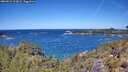 ./images/calvert/foggy-cove/20260531/foggy-cove20260531_122001M.jpg
