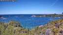 ./images/calvert/foggy-cove/20260531/foggy-cove20260531_122501M.jpg