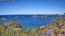 ./images/calvert/foggy-cove/20260531/foggy-cove20260531_123001M.jpg