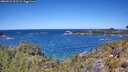 ./images/calvert/foggy-cove/20260531/foggy-cove20260531_123501M.jpg
