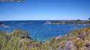 ./images/calvert/foggy-cove/20260531/foggy-cove20260531_124001M.jpg