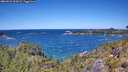 ./images/calvert/foggy-cove/20260531/foggy-cove20260531_124501M.jpg