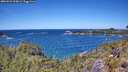 ./images/calvert/foggy-cove/20260531/foggy-cove20260531_125001M.jpg