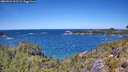 ./images/calvert/foggy-cove/20260531/foggy-cove20260531_125501M.jpg