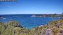 ./images/calvert/foggy-cove/20260531/foggy-cove20260531_130001M.jpg