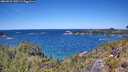 ./images/calvert/foggy-cove/20260531/foggy-cove20260531_130501M.jpg