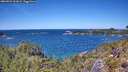 ./images/calvert/foggy-cove/20260531/foggy-cove20260531_131001M.jpg