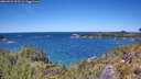 ./images/calvert/foggy-cove/20260531/foggy-cove20260531_131501M.jpg