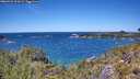 ./images/calvert/foggy-cove/20260531/foggy-cove20260531_132002M.jpg