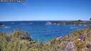 ./images/calvert/foggy-cove/20260531/foggy-cove20260531_132501M.jpg