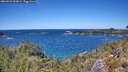 ./images/calvert/foggy-cove/20260531/foggy-cove20260531_133001M.jpg
