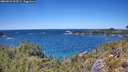 ./images/calvert/foggy-cove/20260531/foggy-cove20260531_133501M.jpg