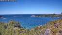 ./images/calvert/foggy-cove/20260531/foggy-cove20260531_134001M.jpg