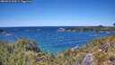 ./images/calvert/foggy-cove/20260531/foggy-cove20260531_134501M.jpg