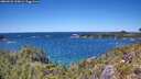 ./images/calvert/foggy-cove/20260531/foggy-cove20260531_135002M.jpg