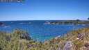 ./images/calvert/foggy-cove/20260531/foggy-cove20260531_135501M.jpg