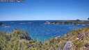 ./images/calvert/foggy-cove/20260531/foggy-cove20260531_140001M.jpg