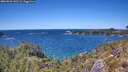 ./images/calvert/foggy-cove/20260531/foggy-cove20260531_140501M.jpg