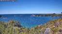 ./images/calvert/foggy-cove/20260531/foggy-cove20260531_141001M.jpg