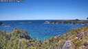 ./images/calvert/foggy-cove/20260531/foggy-cove20260531_141501M.jpg