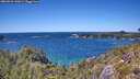 ./images/calvert/foggy-cove/20260531/foggy-cove20260531_142002M.jpg