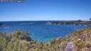 ./images/calvert/foggy-cove/20260531/foggy-cove20260531_142501M.jpg