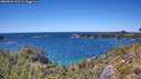 ./images/calvert/foggy-cove/20260531/foggy-cove20260531_143501M.jpg