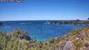 ./images/calvert/foggy-cove/20260531/foggy-cove20260531_144002M.jpg