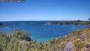 ./images/calvert/foggy-cove/20260531/foggy-cove20260531_145001M.jpg