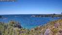 ./images/calvert/foggy-cove/20260531/foggy-cove20260531_145501M.jpg