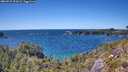 ./images/calvert/foggy-cove/20260531/foggy-cove20260531_152001M.jpg