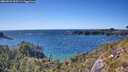 ./images/calvert/foggy-cove/20260531/foggy-cove20260531_163501M.jpg