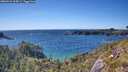 ./images/calvert/foggy-cove/20260531/foggy-cove20260531_164501M.jpg